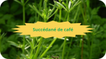 8 GAILLET GRATTERON(2)Succédané de café-modified