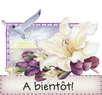 fleur_abientot_copie_1