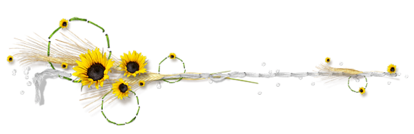 fleurs été