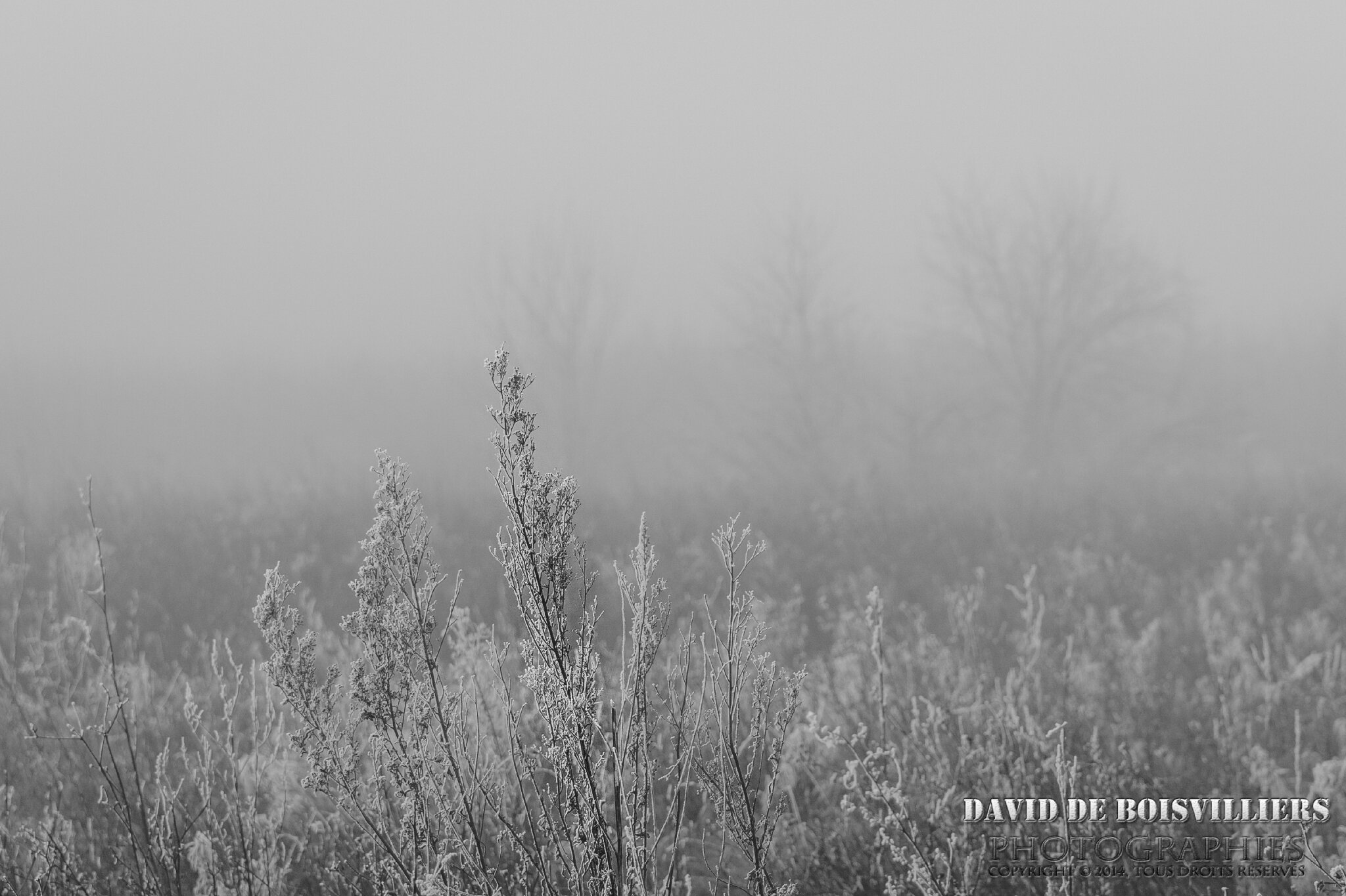 Ambiance hivernale 