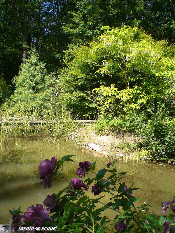 Tout le charme d'un plan d'eau…