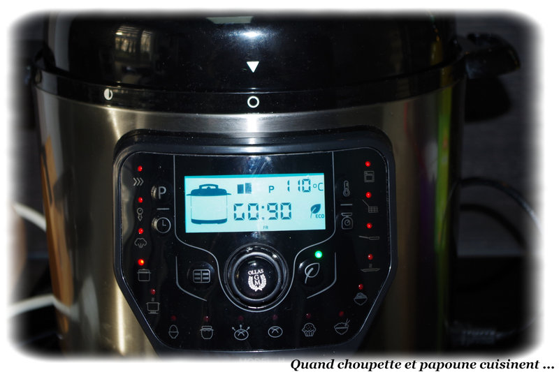 goulash à l'autocuiseur cecotec-9896
