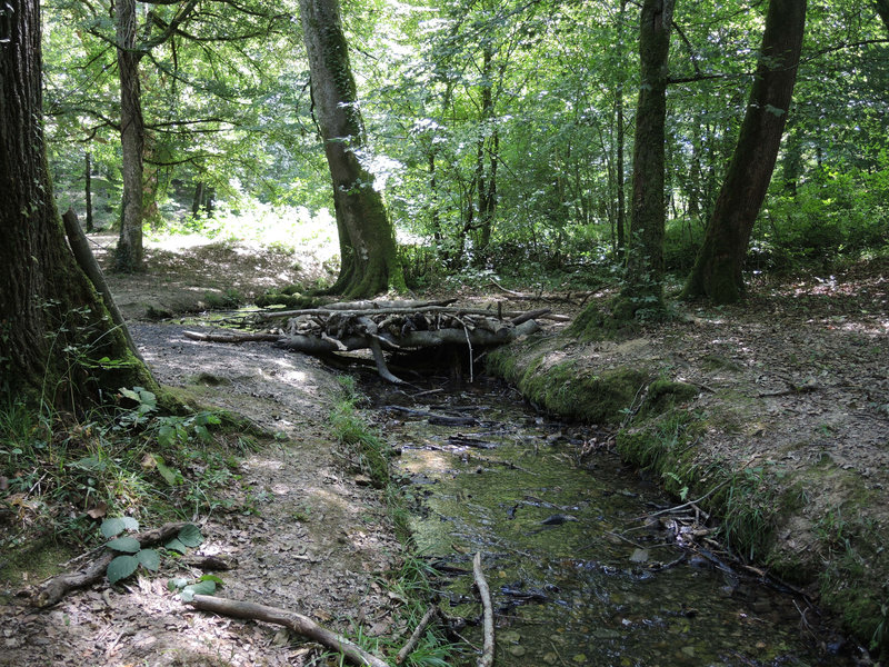 Chaulgnes, fontaines des Vaux, pont (58)