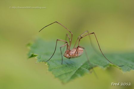 IMG_4280-signée