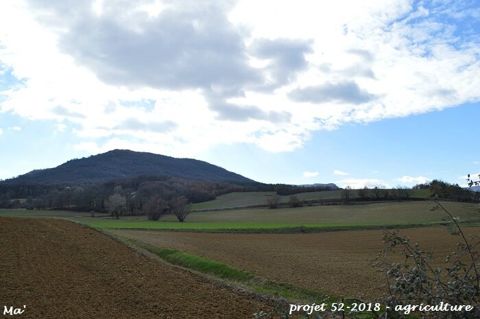 52-2018_S09_agriculture