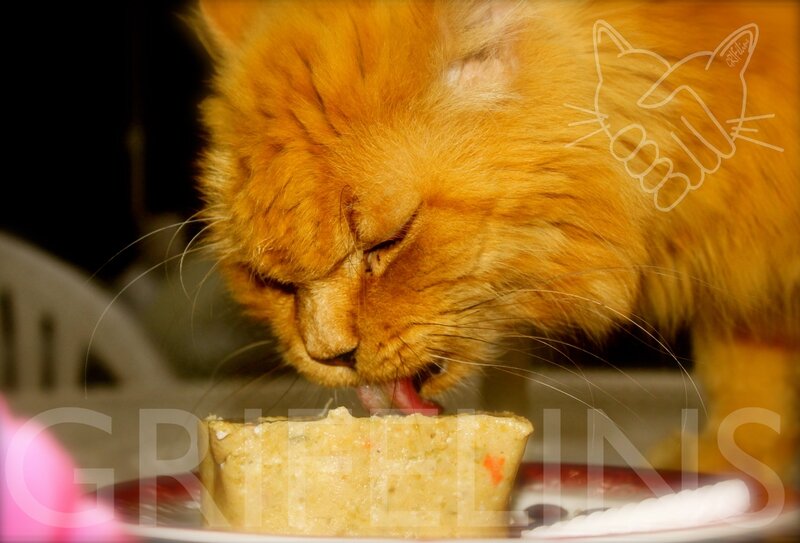 JeCuisinePourMonChat