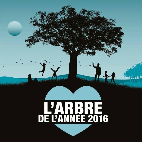 Arbre de l'année 2016