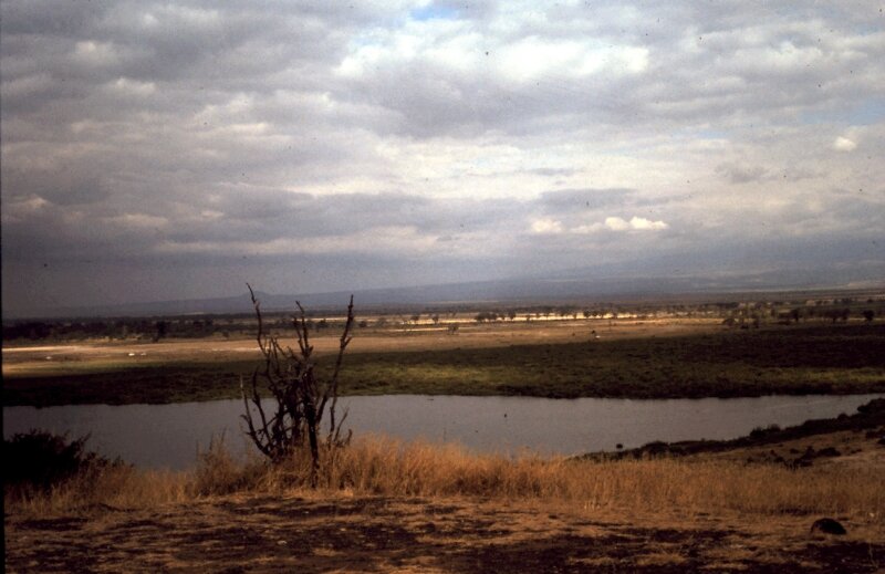 amboseli paysage l