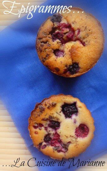 MoelleuxChocFruit01