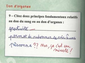 Sans titre 1