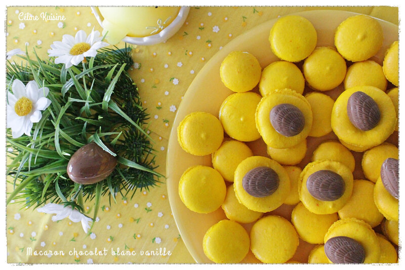 Macaron chocolat blanc vanille