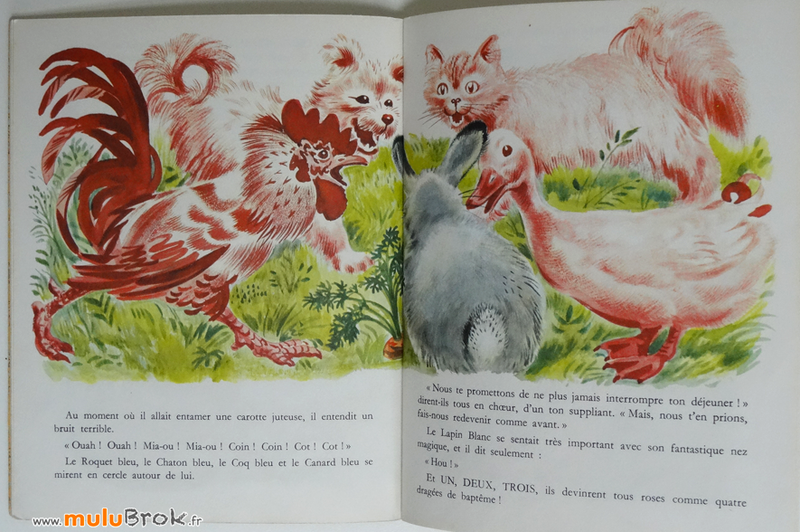 LE-PETIT-LAPIN-AU-NEZ-MAGIQUE-6-muluBrok-Livre-ancien