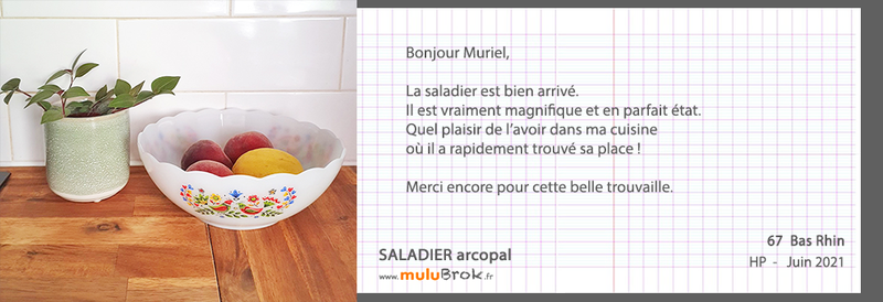 21-6-SALADIER-arcopal-muluBrok