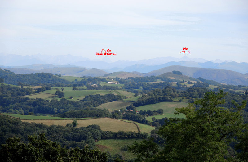 Mont Ursuya, à travers champs, premier panorama (64)