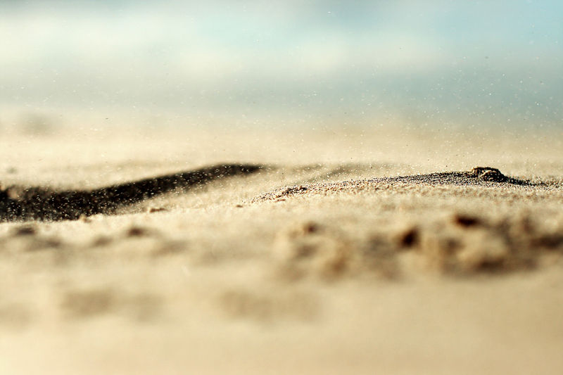 plage_nord02