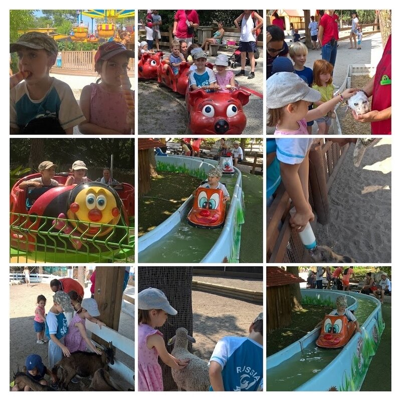 WP_20180719_11_05_18_Pro-COLLAGE
