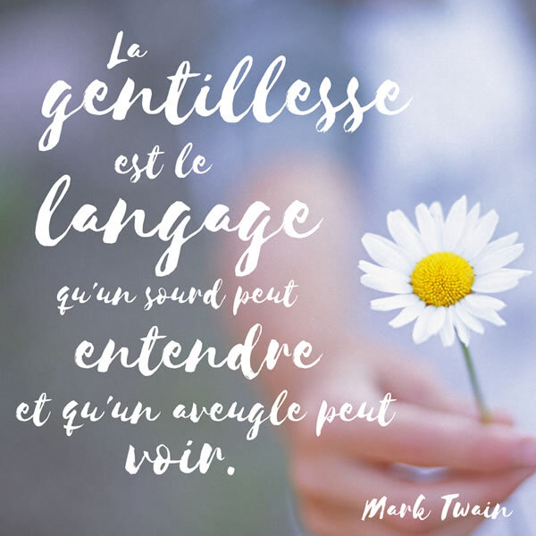 la_gentillesse_langage