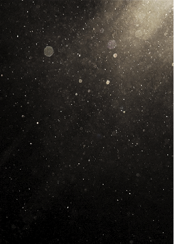 dark