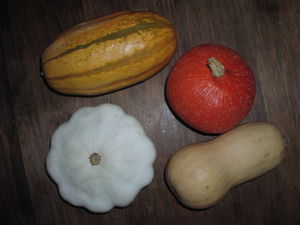 courges__1_