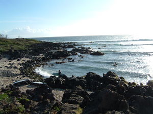 promenade_sur_la_c_te_boucan__st_gilles_08