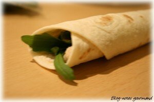 wrap_sardine_roule