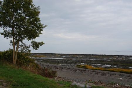 ile aux coudres