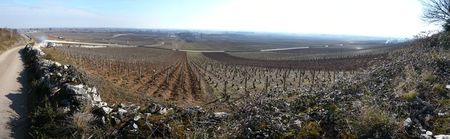 Vin_Meursault_R