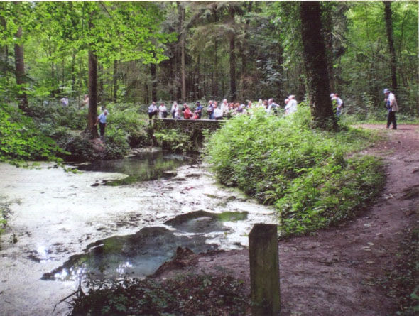 Stambruges_fontaine_bouillante