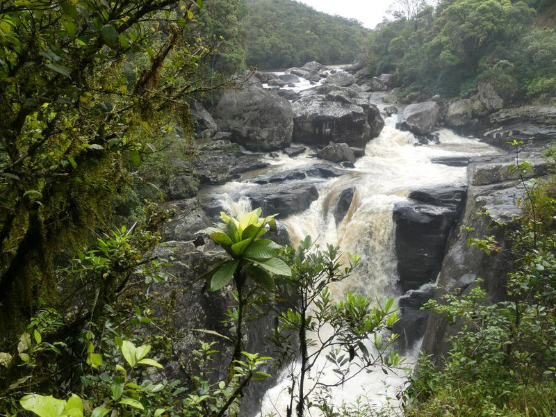 P1230589