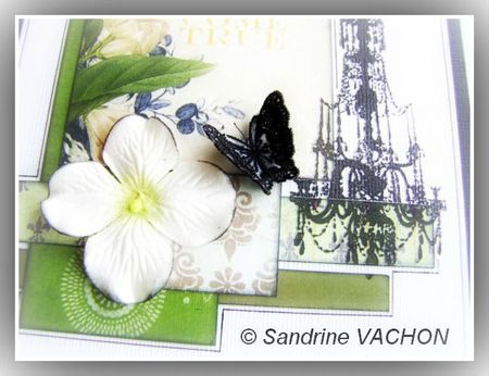 carte et chutes (WISHES COME TRUE (3)