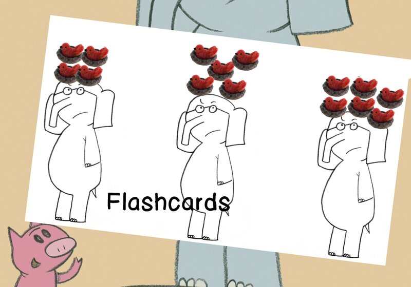 flashcards birds image