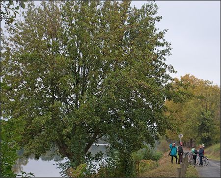Bioville_QM_nid_frelons_cyclistes_281010