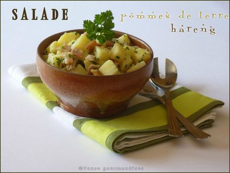 Salade de pommes de terre au hareng (14)