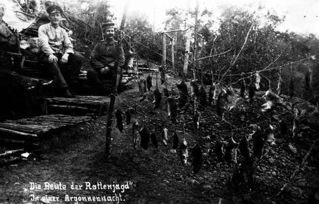 Soldats All5