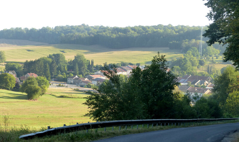 P1550460