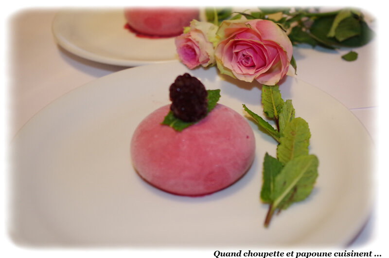 dessert glacé aux fruits rouges-9502