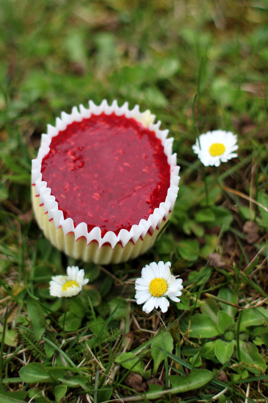 Mini-cheesecake-framboise-2