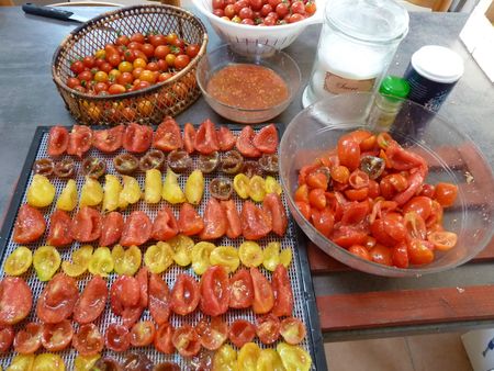 tomates séchées 2 (2)