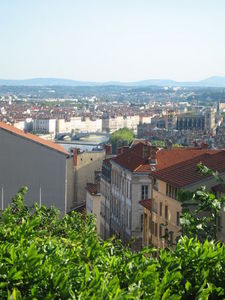 LYON_2