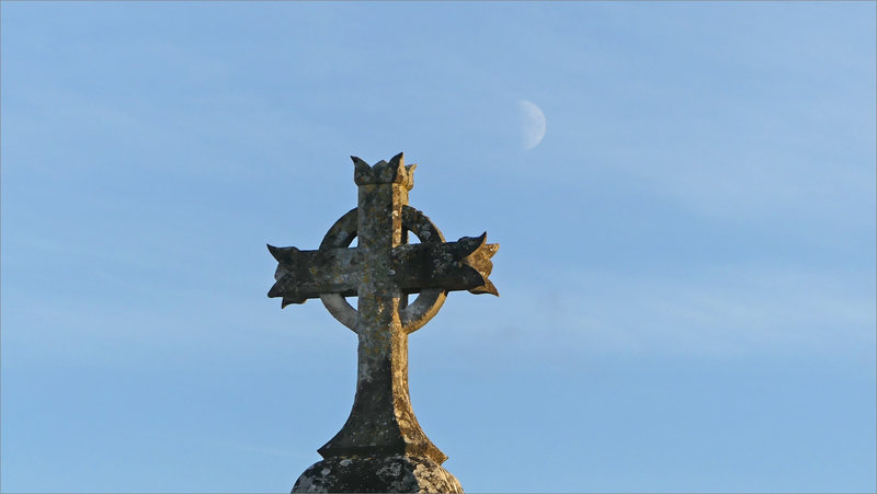 Niort cimetière Cadet 011122 ym 5 lune