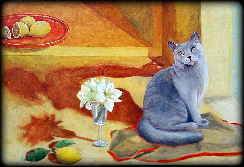 gatto-balthus-