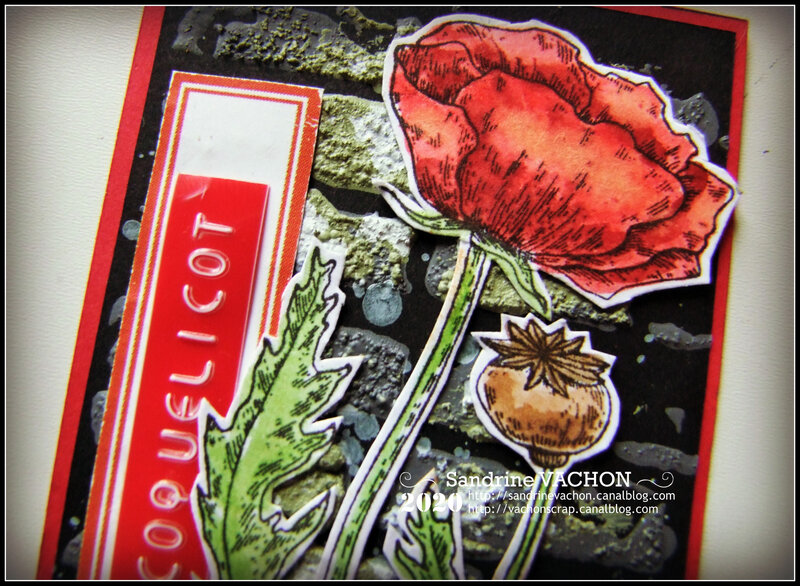 Sandrine VACHON ATC Juin 2020 PCC (4)