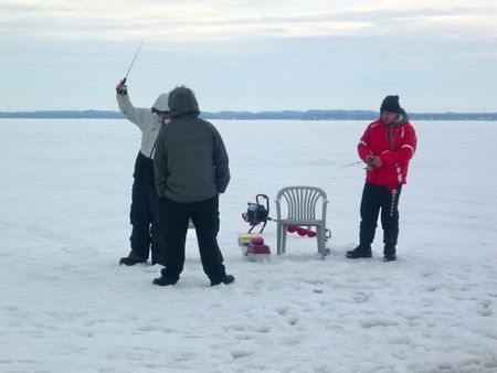 canada fevrier 2012 521