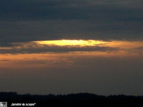 Coucher de soleil sur la Dune du Pilat et la pinède