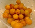 DSCN1092
