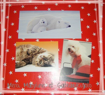 cartes animalieres