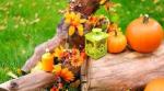 Paysagiste-Pays-Basque-Novembre-au-jardin
