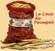 coco_paimpol