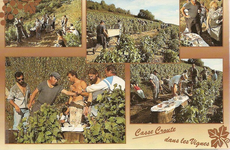 Le Beaujolais, lunnettes de soleil de rigueur ! (69)