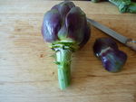 salade_printani_re__4_